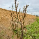 동원환경(1농장) 이미지