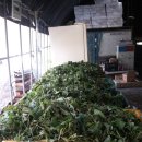 영진농장 이미지