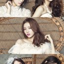 카라2 이미지