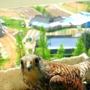 경주, 머물다1 이미지