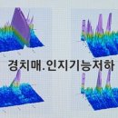 허브앤다이어트