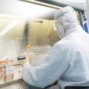 (주)강스템바이오텍 이미지