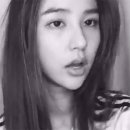 쿠시 이미지