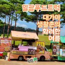 일광협동조합 | 2023 대가야 생활촌의 화여한 여름 축제 코리아코나 커피차 일광푸드트럭 후기