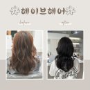 헤이브헤어
