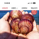 준생정 우체국쇼핑 홍가리비 1kg 5440원 무배 이미지