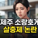 돌마당청수펜션 | 제주 소랑호게 살충제 펜션 논란, 아기랑 응급실 간 충격적인 진실은?
