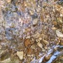 중미산자연휴양림 이미지