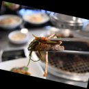 용궁갈비 이미지