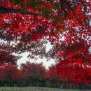 미사숲공원 이미지