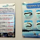 소소물산