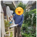 깔끔맨 이미지