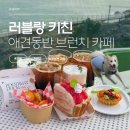 댕댕키친 | 포항 러블랑 키친 애견동반 브런치 카페