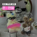 해남동초등학교 | [전남 해남] 모루인형 만들기 원데이클래스 / 핸드메이드 공방 ‘온캔들’