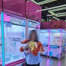 뽑기짱 | 대구 동성로 인형뽑기 성지 짱오락실 스파크랜드 후기