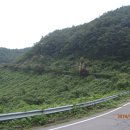 보성우체국 이미지