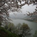 꿈의 향연-2007 이미지