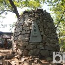 황금산뿌리