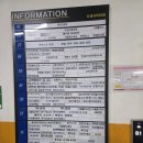 cu원주무실대로점 | 원주 페인팅 카페 오늘을그리다, 브릭베어 저금통 페인팅 후기