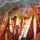 이롬채 수입 대파김치 10kg 아삭하고 알싸한 파김치 밥도둑 인정 후기