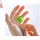 정진각 카카오 검색결과