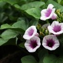 실버 책 놀이 이미지