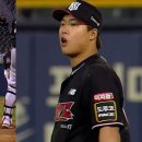 돼지되지 이미지