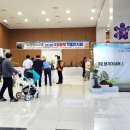 분재전시회 이미지