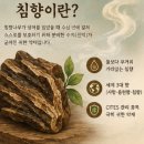 지에스25만성수변공원점 | 김소형 침향환 효능 후기 가격 침향단 효과 복용방법 성분