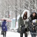 세바퀴 이미지