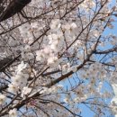 물소리공원 이미지