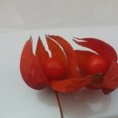 너애개만 이미지