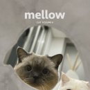 펫앤스토리 이미지