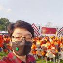 횡성종합운동장 이미지