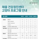 채움동물의료센터 이미지