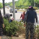 선부1동행정복지센터 이미지