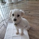 세이브존카서비스 이미지