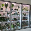 이색뽑기 이미지