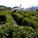 공룡게임장 이미지