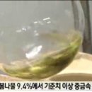 변약초 이미지