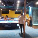 소노펠리체 델피노 이미지