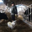 매화목장 이미지