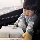 유아 5세 전집 추천 세계다글리 첫 세계문화책 후기