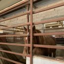 인천남동승마클럽 이미지