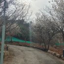 금정민물장어 이미지