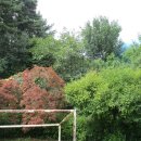 영흥초등학교 선재분교 이미지