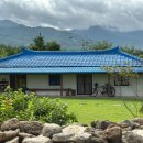 파도마을 삼냥이네 이미지