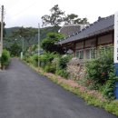 진도솔마루미술관 이미지