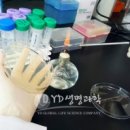 (주)와이디생명과학 이미지