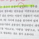 의사소통장애 조음•음운장애의 주요 오류 형태 중 첨가 이미지